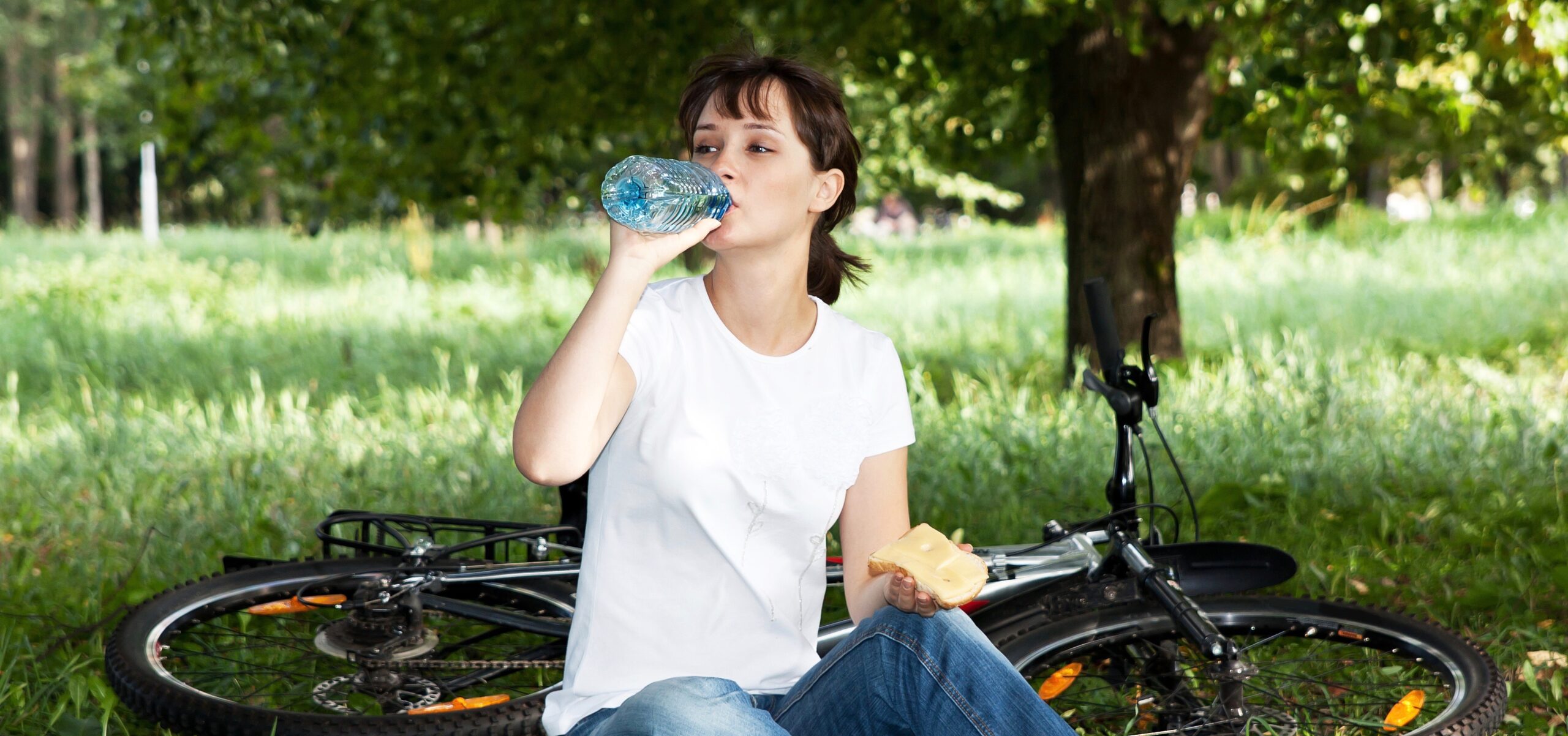 shutterstock_144451900-scaled